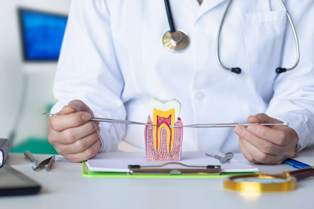 Best Broken Tooth Emergency  in Princeton Meadows, NJ